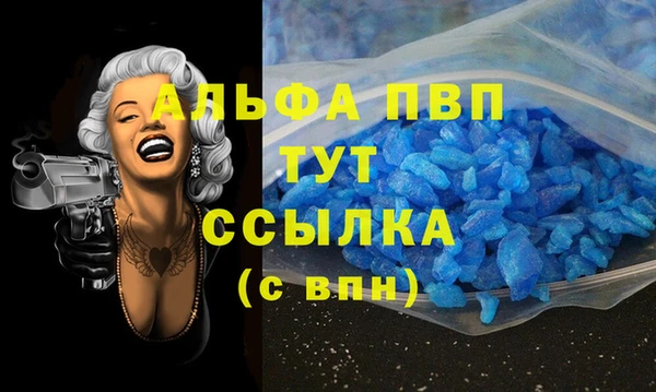 сатива Абинск