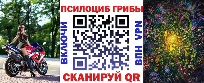закладка  OMG ONION  Галлюциногенные грибы мухоморы  Тулун 