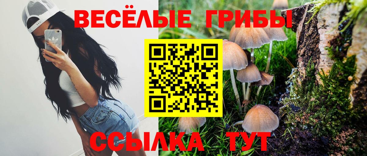 Тулун  Галлюциногенные грибы GOLDEN TEACHER  закладки  Вход с VPN 